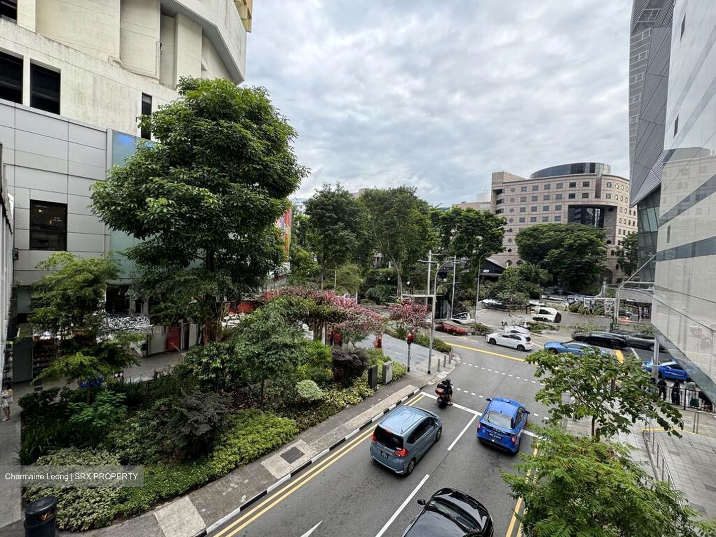 Orchard Plaza (D9), Shop House #496585471